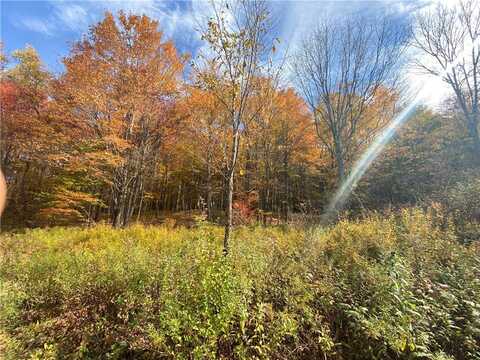 535 Scutt Mtn. Road, Stamford, NY 13739