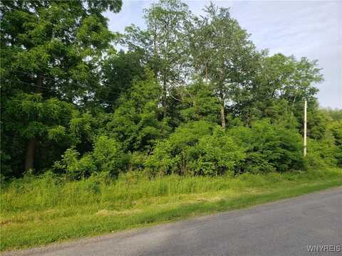 3835 Chase Road, Hartland, NY 14105