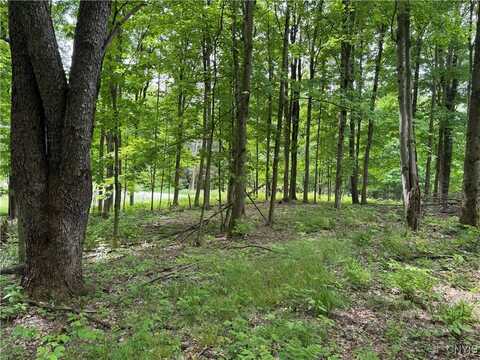 Thornton Road, Charlotte, NY 14782
