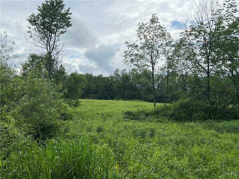 Searls Road, Homer, NY 13045