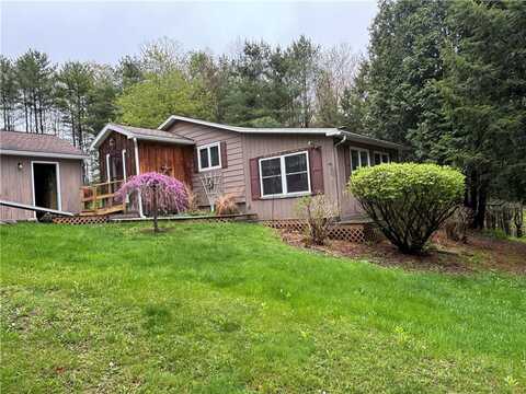 163 Nagel Hill Road, Candor, NY 13743