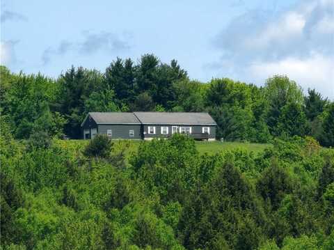 364 Blacks Road, Middlefield, NY 13326