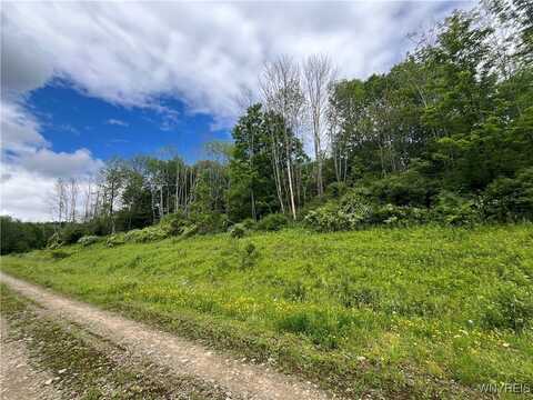 Tbb Lot #5 42 Degrees North, Ellicottville, NY 14731