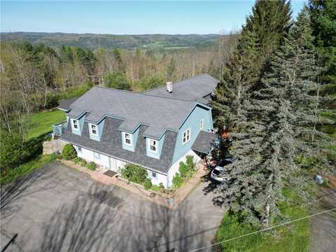 697 Winney Hill Road, Oneonta, NY 13820