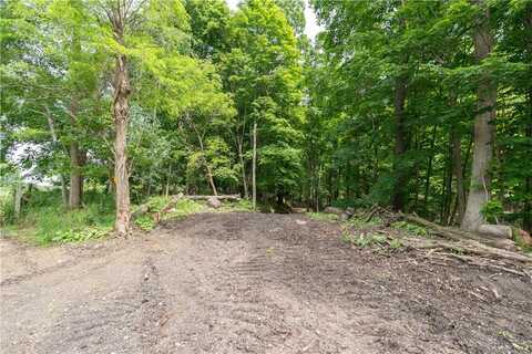 0 Leicester Road, Leicester, NY 14481