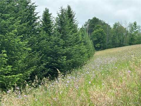 Mcgraw Marathon Road, Marathon, NY 13803