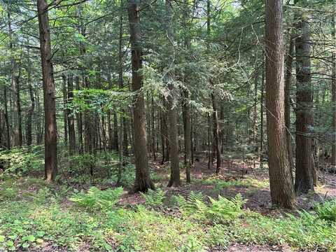Spring Road S, Ossian, NY 14437
