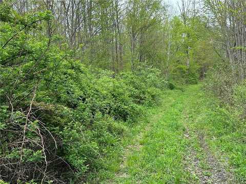 150 Cafferty Road, Cowlesville, NY 13760