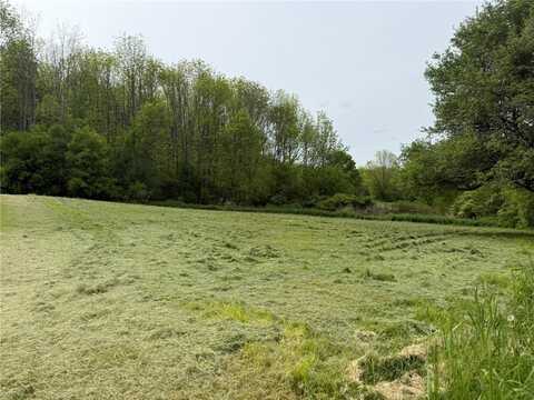 0 Mapledale Road, Bridgewater, NY 13318