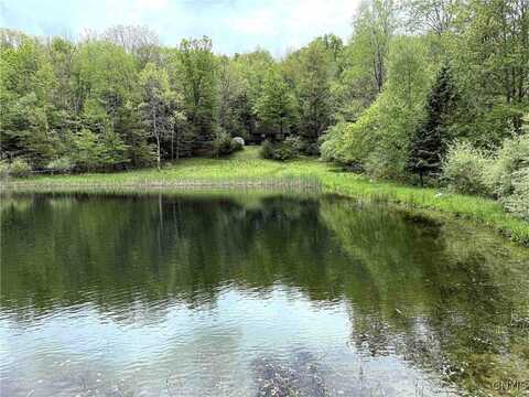 3304 Co Rd 22, Cameron, NY 14820