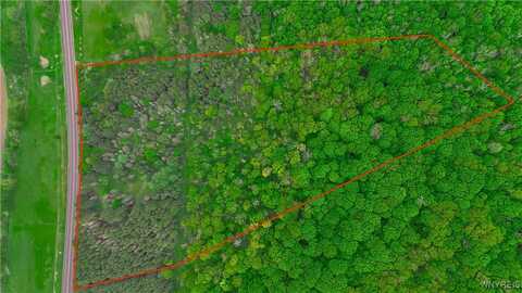 Vl Maples Road, Munnsville, NY 14755