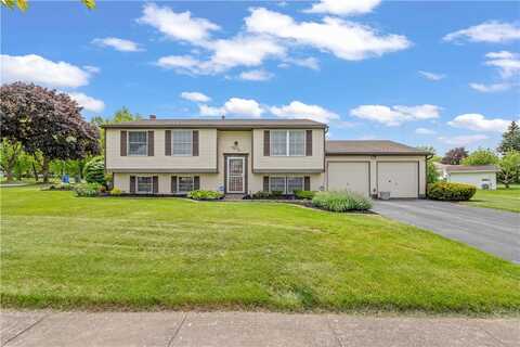 303 Planet Street, Rochester, NY 14606