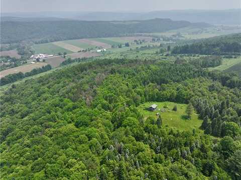 78 Lower Fairfield Rd., Newark Valley, NY 13811