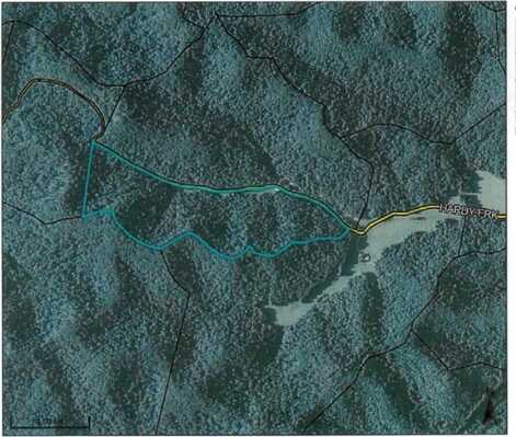 0 Hardy Fork, Wallingford, KY 41093