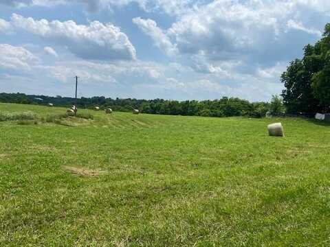 1592 S. Bluegrass Rd., Brooksville, KY 41004