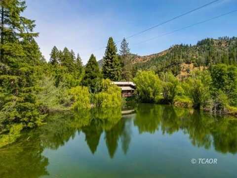 4711 Lower South Fork Rd, Hyampom, CA 96046