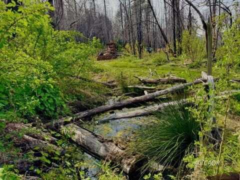 Hayfork Summit, Junction City, CA 96048