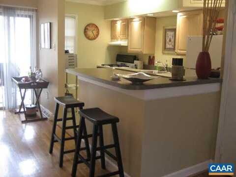111 HESSIAN HILLS RDG, CHARLOTTESVILLE, VA 22901