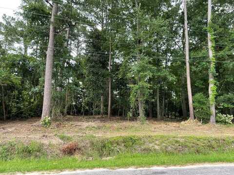 629 Cork Ferry, Cordele, GA 31015