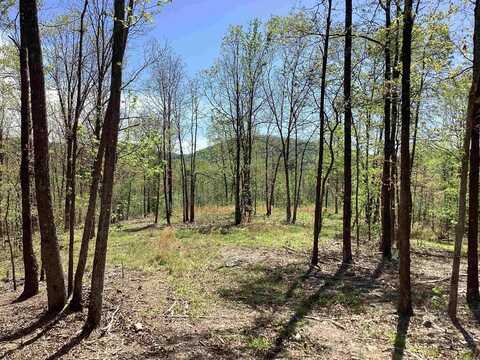 South Tract Chaparral Lane, Mena, AR 71953