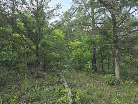 N Hopewell Hollow RD, Norfork, AR 72659