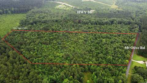 mt Olive Road, Arkadelphia, AR 71923