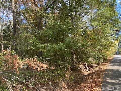00 N Lily and Hwy 60 Highway, Houston, AR 72070