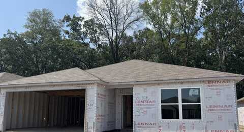 1218 Crotale Street, Conway, AR 72034