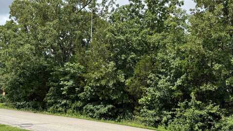 38 Pioneer Trail, Mountain Home, AR 72653
