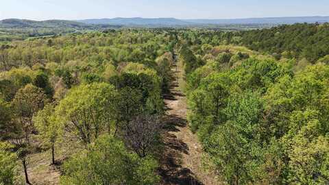 North Tract Chaparral Lane, Mena, AR 71953
