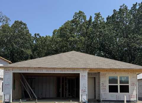1254 Crotale Street, Conway, AR 72034