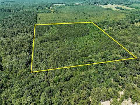 undefined, Monticello, AR 71655