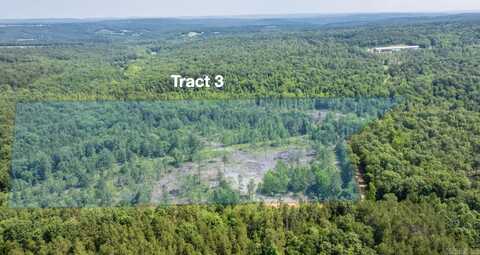 Tract 3 Harmony Mountain Road, Clinton, AR 72031