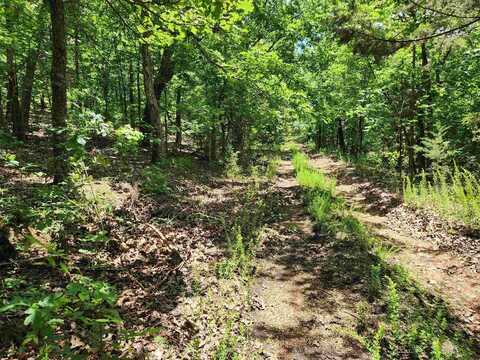 L-14, B-4 Piute Drive, Highland, AR 72529