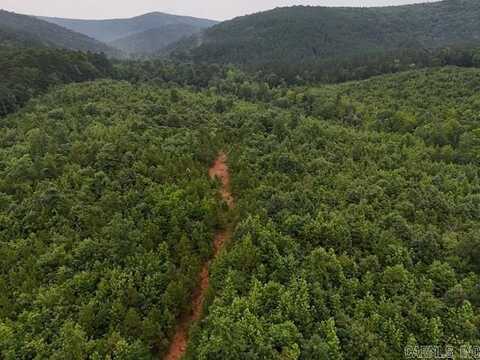 Unk Polk Road 72, Mena, AR 71953