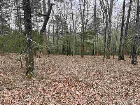 Lot 4 Diamond Bluff Road, Quitman, AR 72131