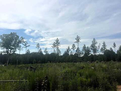 0 Grant 433, Sheridan, AR 72150