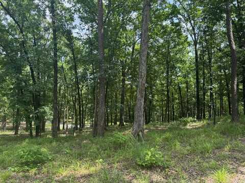 133 Bethesda Ridge Lane, Mena, AR 71953
