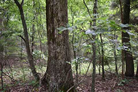 undefined, Harrisburg, AR 72432