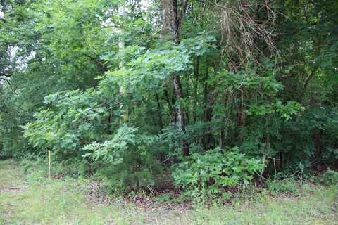 undefined, Lakeview, AR 72642