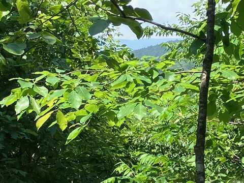 TBD Tract 5 Thompson Creek Lane, Mena, AR 71953