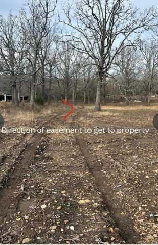 001-05438-011 Old Tracy Road, Mountain Home, AR 72653