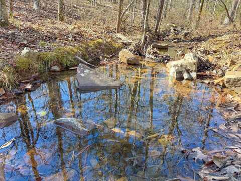 10 High Point Drive, Mayflower, AR 72106
