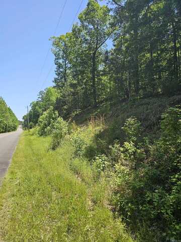 21 Bald Eagle, Paron, AR 72122