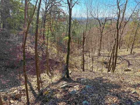 1 High Point Drive, Mayflower, AR 72106