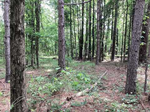 TBD Tollett Road, New Hope, AR 71959