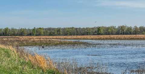 1962 acres Upper Lockhart Road, Cord, AR 72524