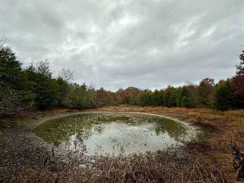 TBD Polk Road 28, Hatfield, AR 71945