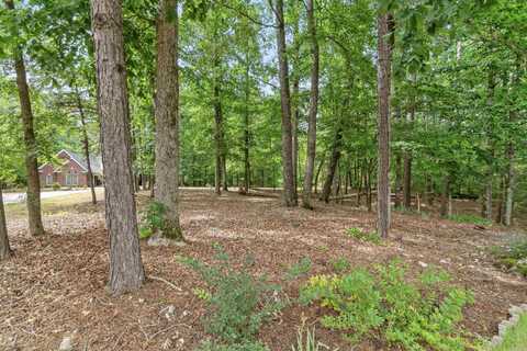 1 Sacedon Circle, Hot Springs Village, AR 71909