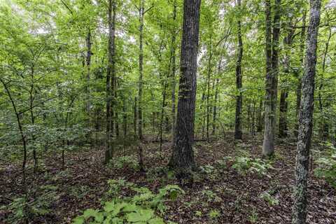 00 Red Fox Road, Hardy, AR 72542